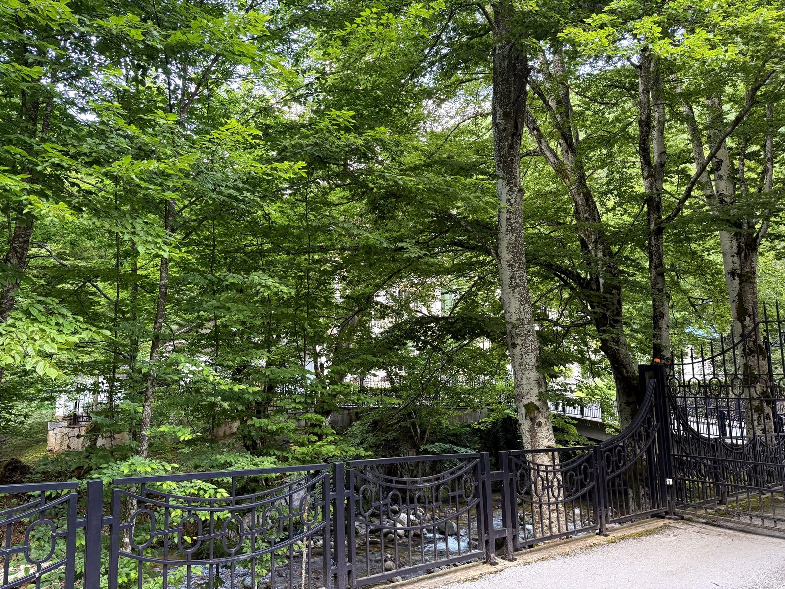 Path along the river