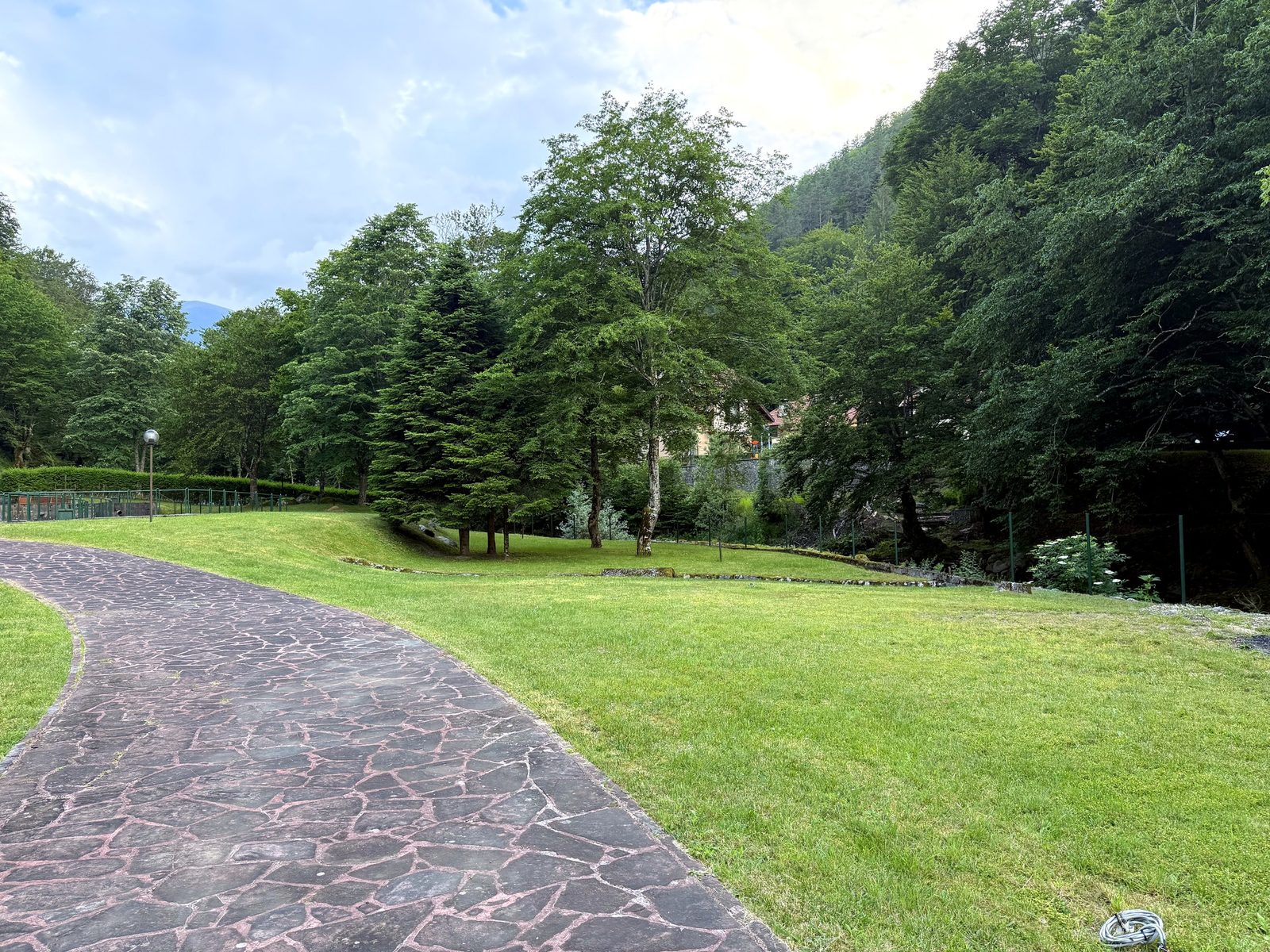 Green pathways of the complex