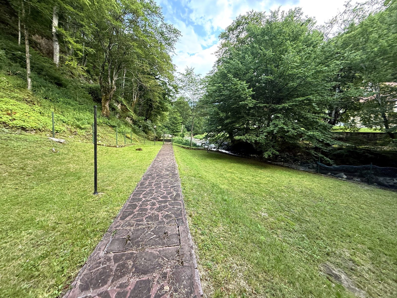 Path in the park